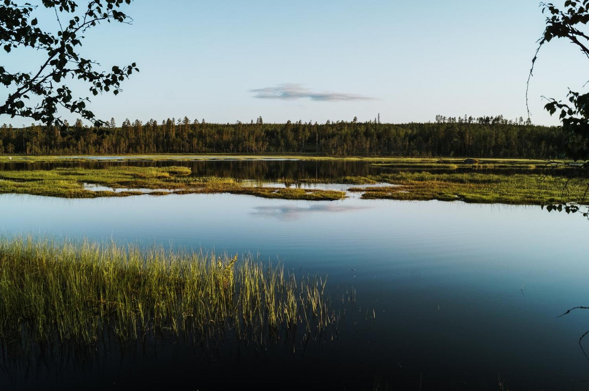 Vikinggard Cottages Holjes 外观 照片