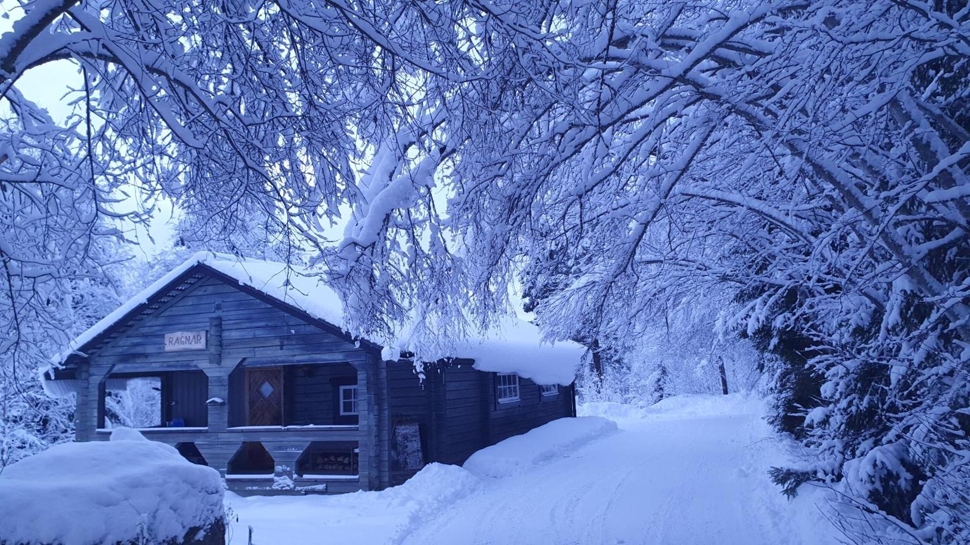 Vikinggard Cottages Holjes 外观 照片