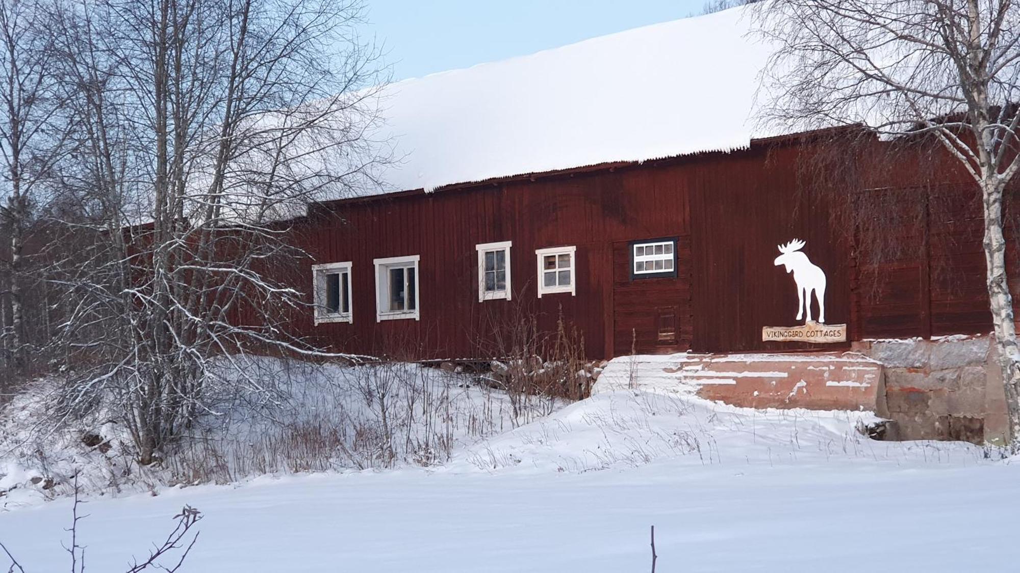 Vikinggard Cottages Holjes 外观 照片