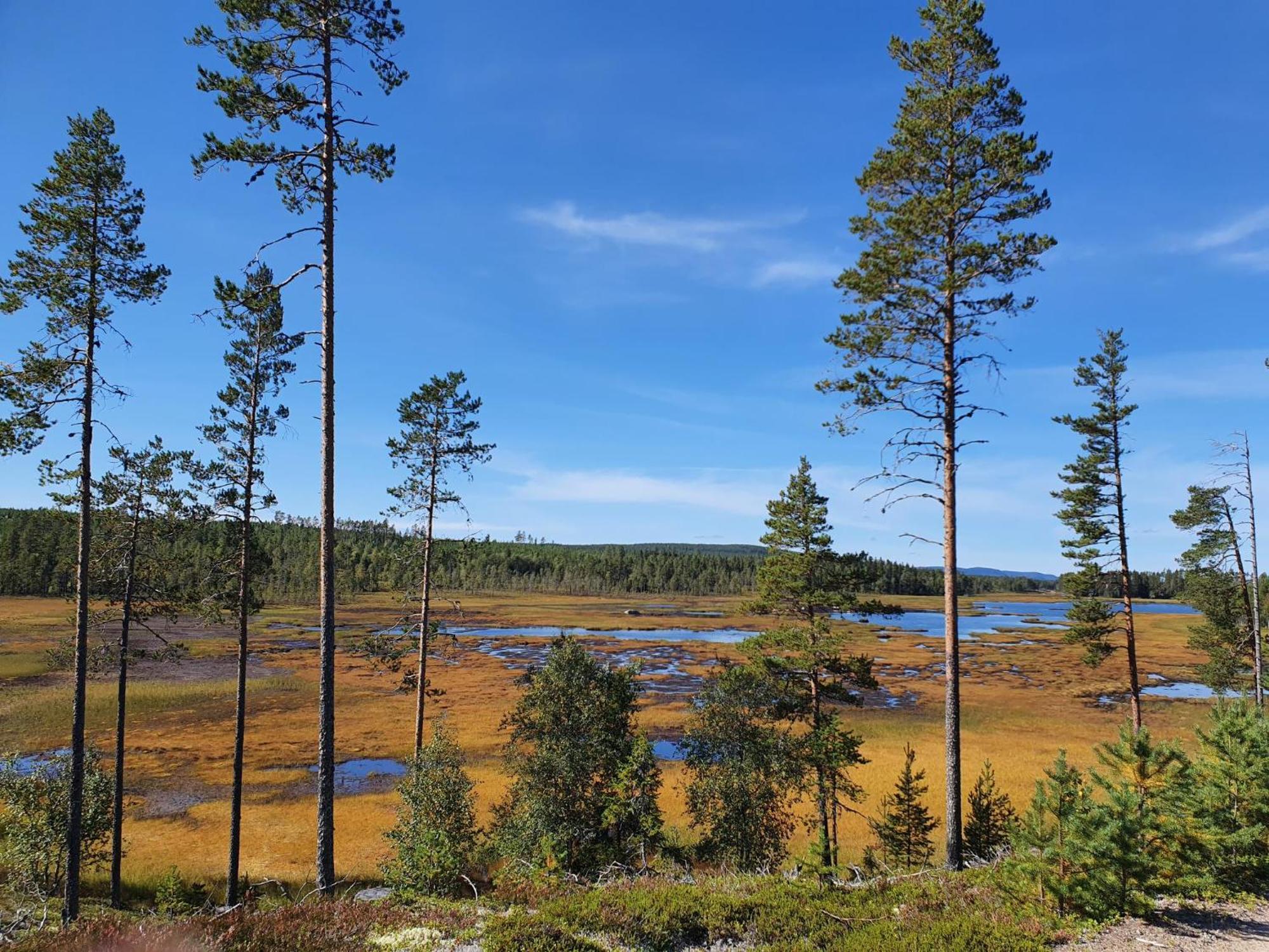Vikinggard Cottages Holjes 外观 照片